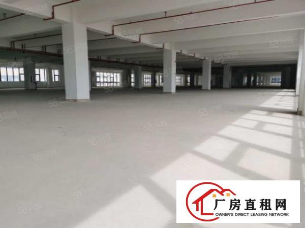  200平方起租布吉工业区整栋厂房出租转租无尘车间出租