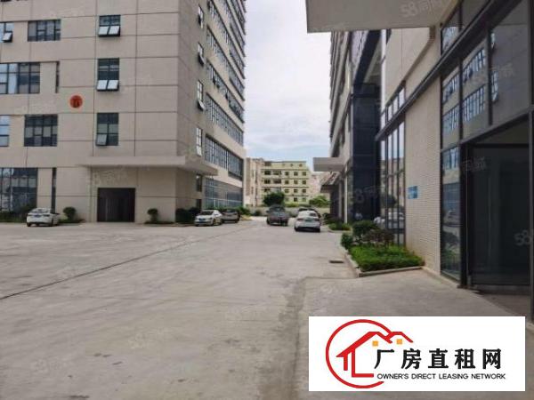  200平方起租布吉工业区整栋厂房出租转租无尘车间出租