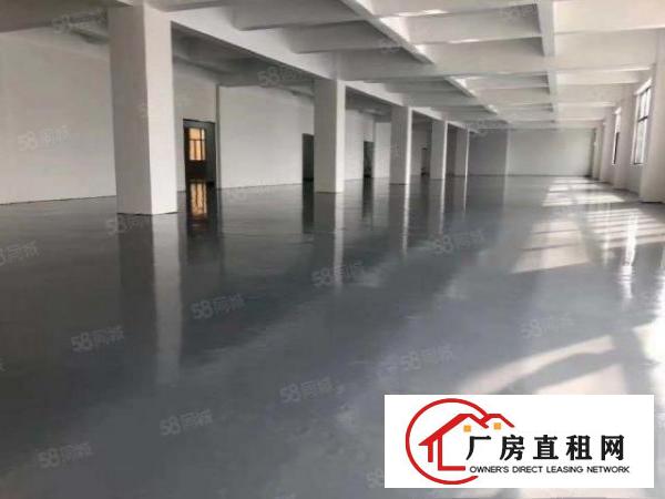  丹竹头物流园100平130平仓库招租