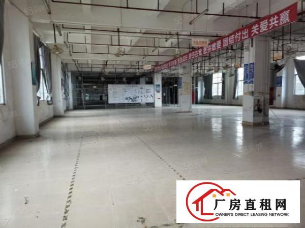  200平起租布吉南岭百门前工业园1000平原房东证件齐全