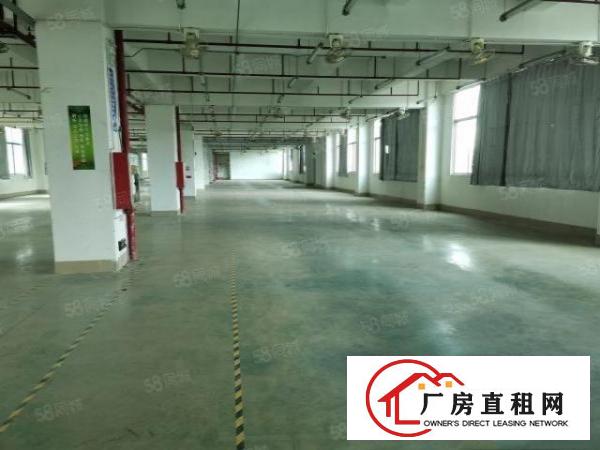  200平起租布吉南岭百门前工业园1000平原房东证件齐全