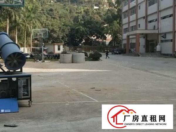  业主厂房招租，大小可分租