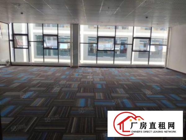  布吉新出1000平楼上豪华装修办公室出租大小可分租