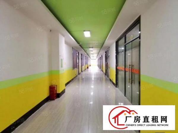  布吉新出1000平楼上豪华装修办公室出租大小可分租