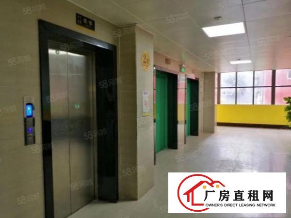  布吉新出1000平楼上豪华装修办公室出租大小可分租
