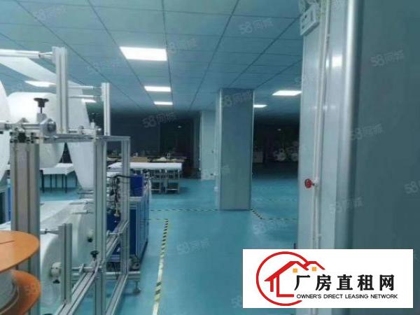  布吉新出1000平楼上豪华装修办公室出租大小可分租