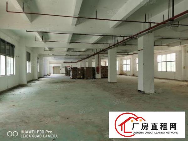  布吉厂房1250平，实际面积出租，原房东标准厂房
