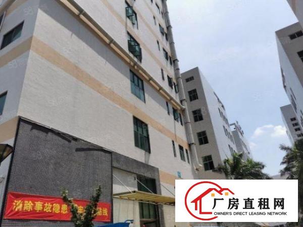  布吉厂房1250平，实际面积出租，原房东标准厂房