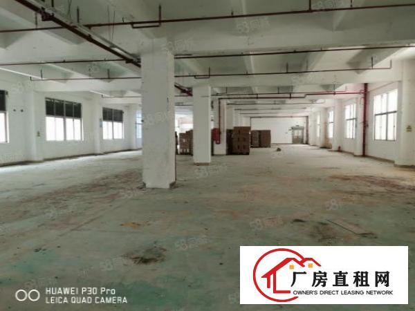  布吉厂房1250平，实际面积出租，原房东标准厂房