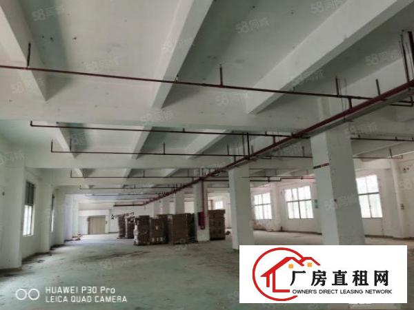 布吉厂房1250平，实际面积出租，原房东标准厂房