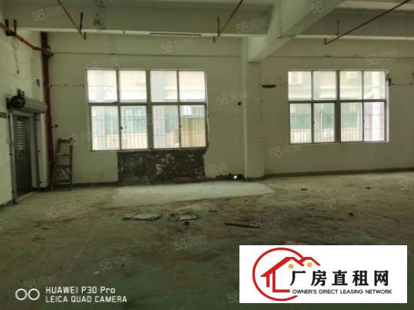  布吉厂房1250平，实际面积出租，原房东标准厂房