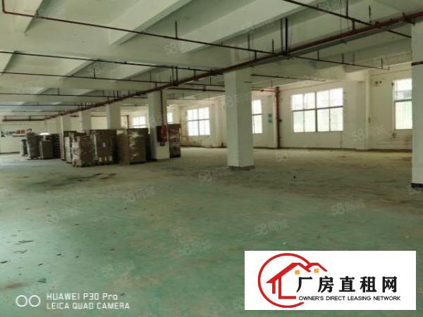  布吉厂房1250平，实际面积出租，原房东标准厂房