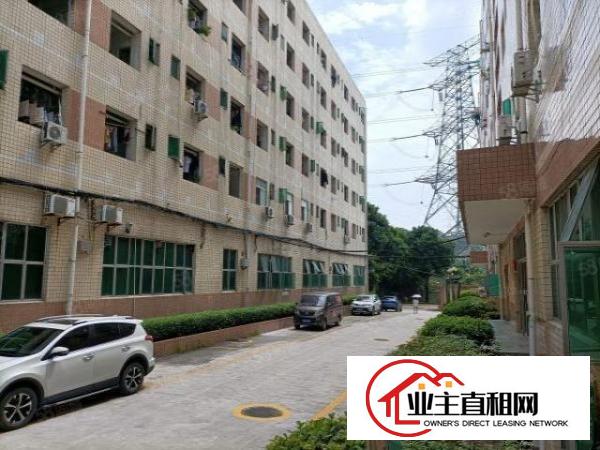  丹竹头公交车站6800平方厂房出租