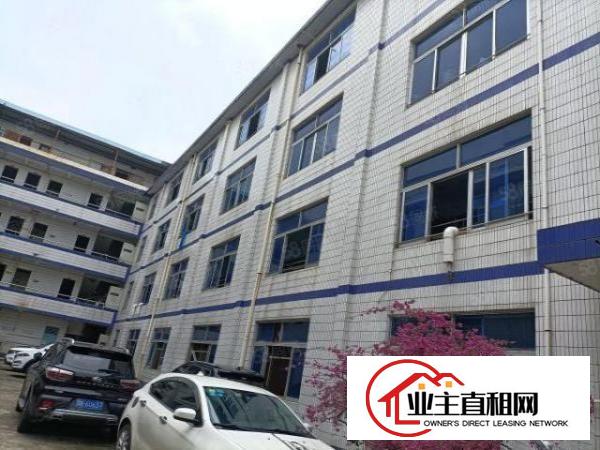  丹竹头公交车站6800平方厂房出租