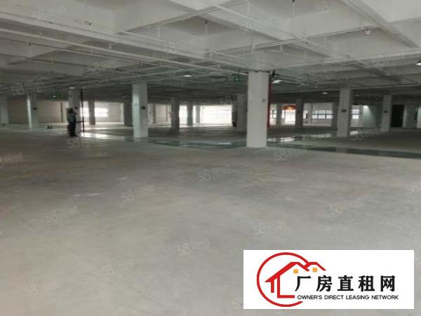  红星美凯龙园区地铁10号线成熟商圈商铺厂房展厅仓库业主直租！