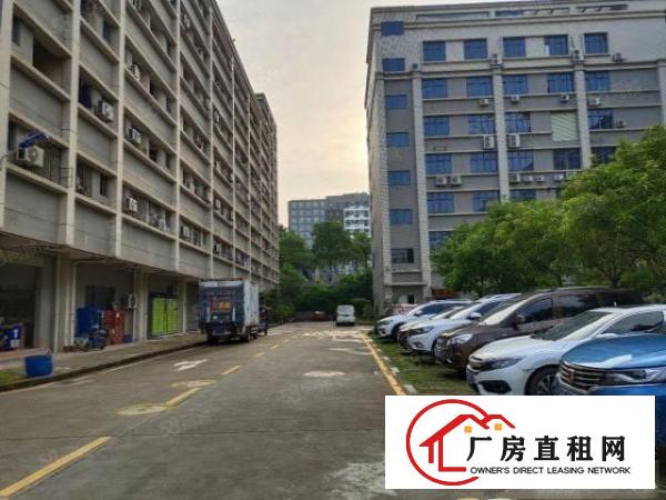  布吉独院厂房带装修，可分租80至8000平，可环评交通便利