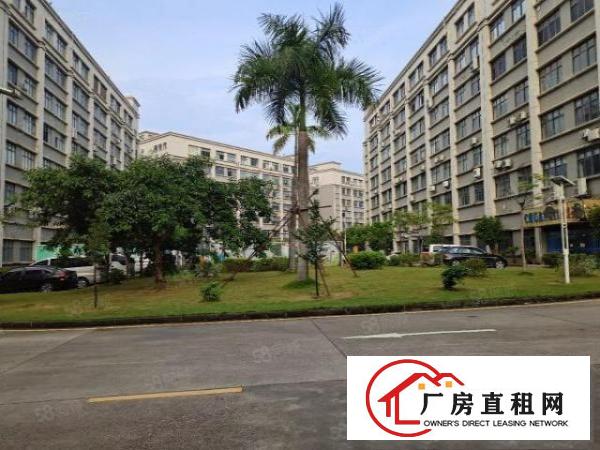  布吉独院厂房带装修，可分租80至8000平，可环评交通便利