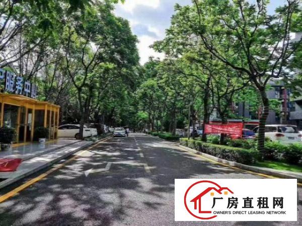  布吉百鸽笼地铁口园区总体量100000平，45平起租配装修。