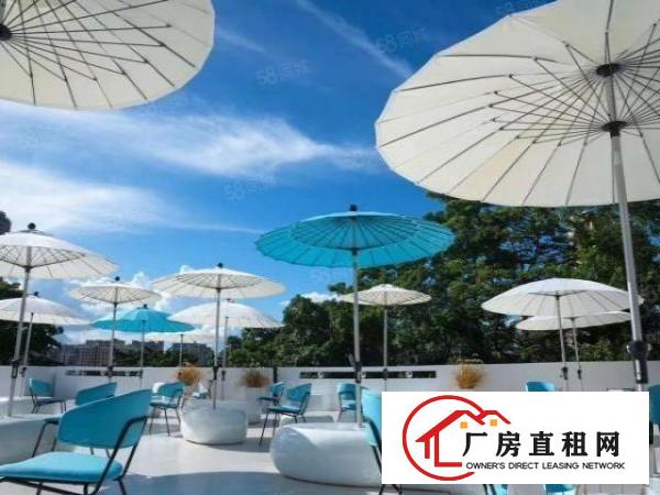  布吉百鸽笼地铁口园区总体量100000平，45平起租配装修。