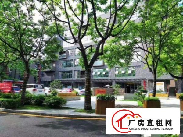  布吉百鸽笼地铁口园区总体量100000平，45平起租配装修。