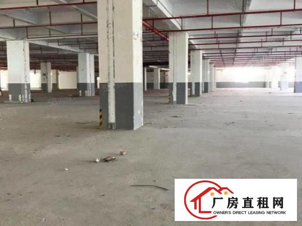  南岭龙山工业园2000平方厂房业主直租