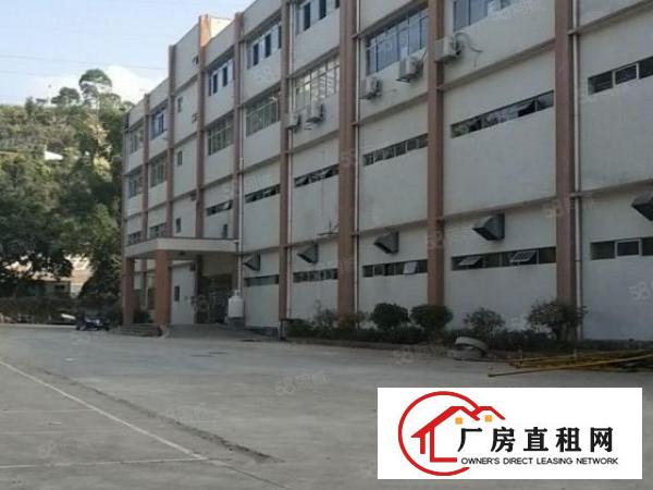  南岭龙山工业园2000平方厂房业主直租
