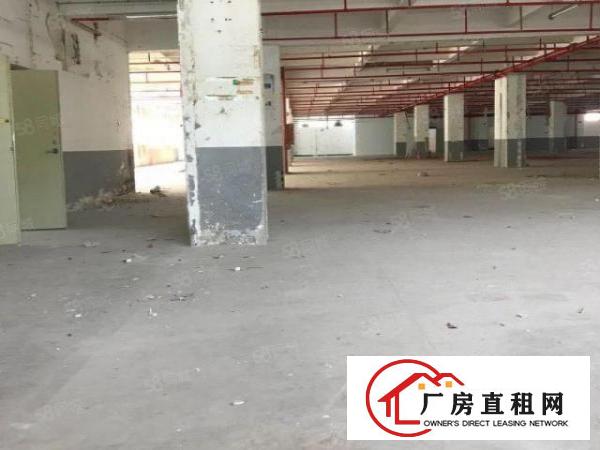  南岭龙山工业园2000平方厂房业主直租