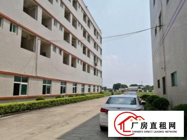  布吉甘坑同富裕工业园1500平厂房出租可分租可办环评交通便利