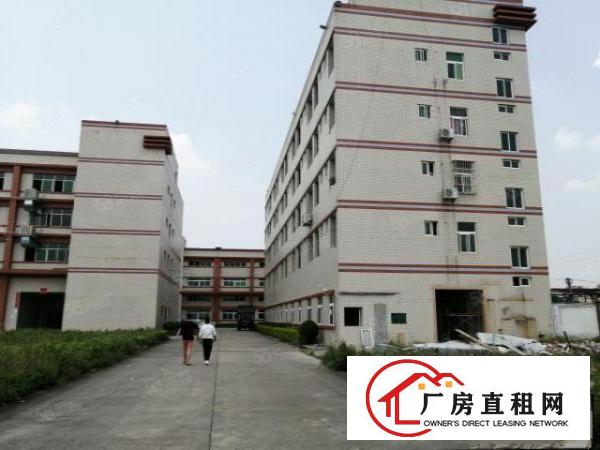 布吉甘坑同富裕工业园1500平厂房出租可分租可办环评交通便利