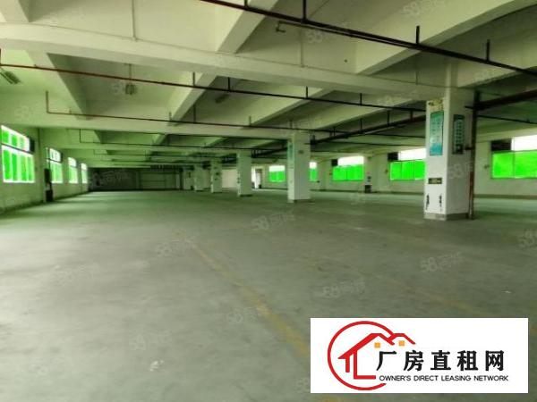  布吉甘坑同富裕工业园1500平厂房出租可分租可办环评交通便利