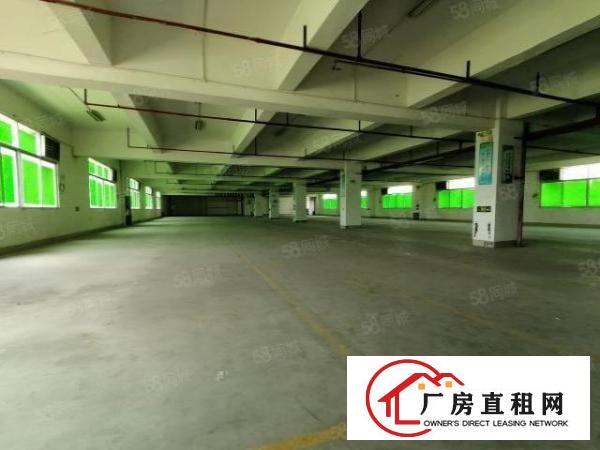  布吉甘坑同富裕工业园1500平厂房出租可分租可办环评交通便利