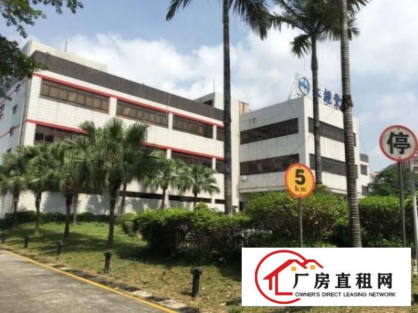  物业直租布吉丹竹头立信路一楼1000平招租（可分租）