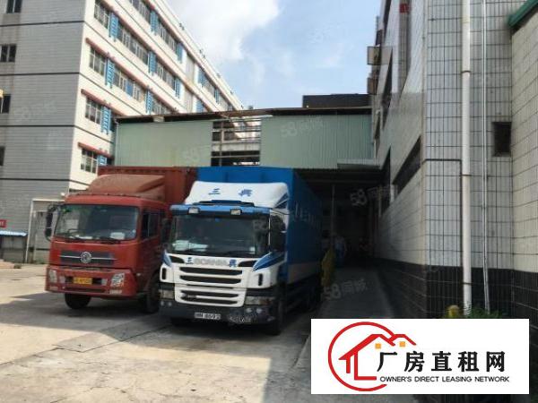  物业直租布吉丹竹头立信路一楼1000平招租（可分租）