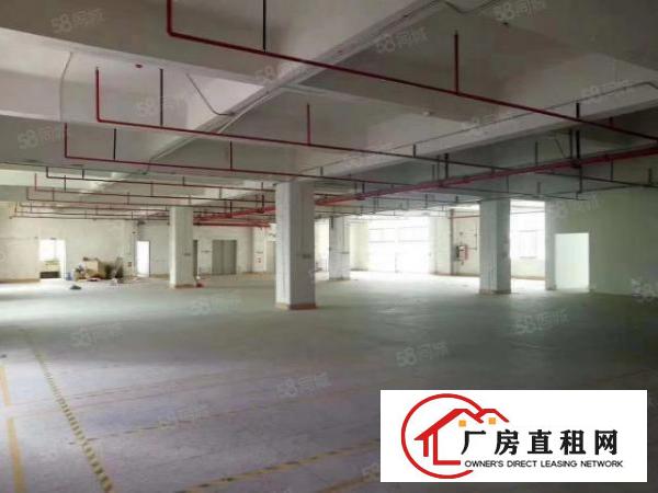  物业直租布吉丹竹头立信路一楼1000平招租（可分租）