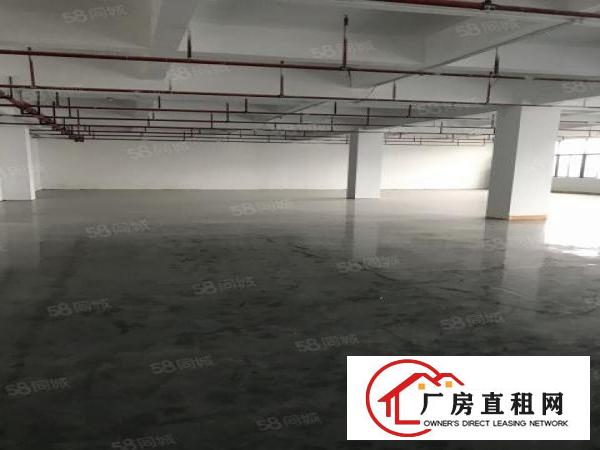 龙山工业区厂房仓库5200平方米出租可分租