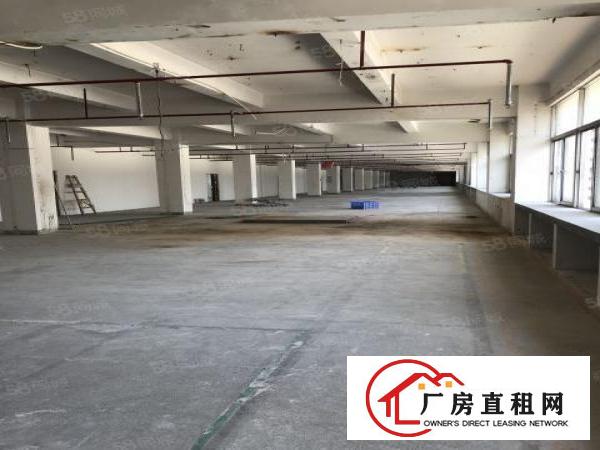  龙山工业区厂房仓库5200平方米出租可分租