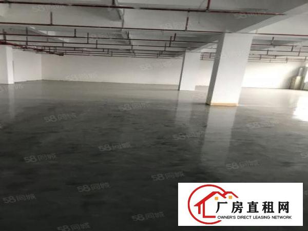  龙山工业区厂房仓库5200平方米出租可分租