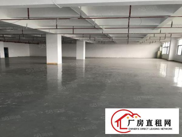  龙山工业区厂房仓库5200平方米出租可分租