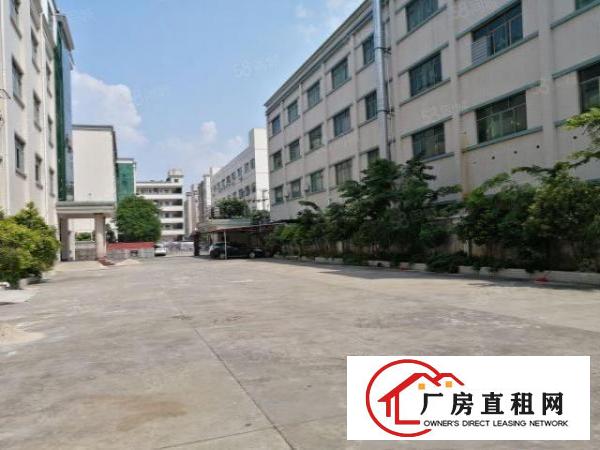  布吉丹竹头工业园2200平厂房出租大小可分租水电齐全交通便利