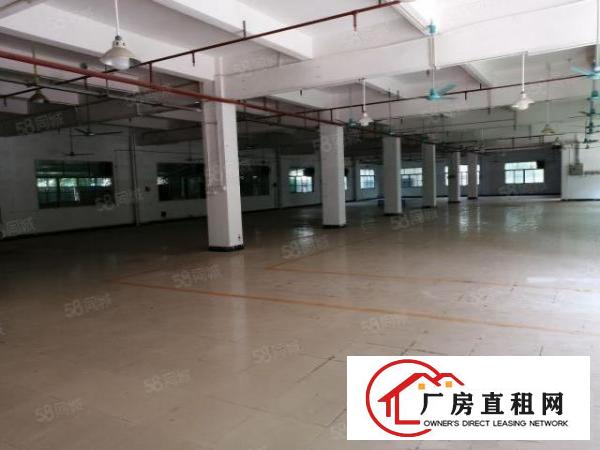  布吉丹竹头工业园2200平厂房出租大小可分租水电齐全交通便利