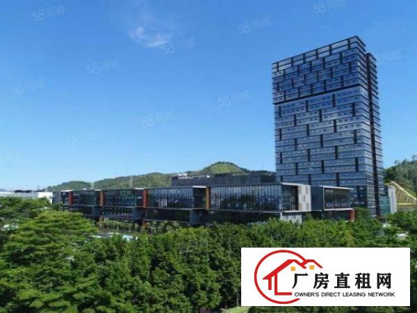  丹竹头地铁站附近新出960平米精装修办公室出租