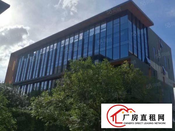  丹竹头地铁站附近新出960平米精装修办公室出租