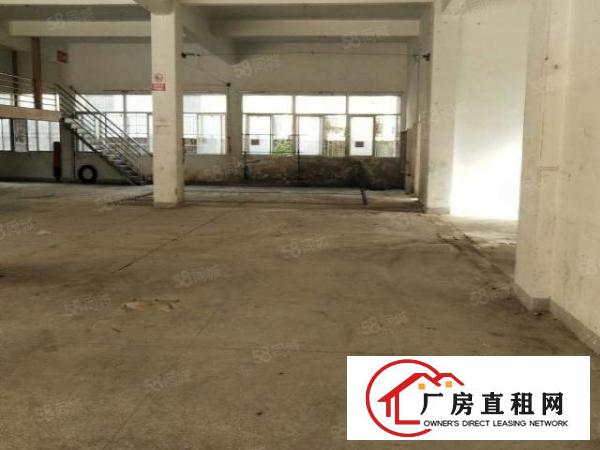  南岭村社区龙山工业区24号200平方起租