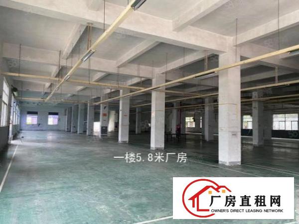  布吉南岭一楼3100平厂房可分300.500.1000平