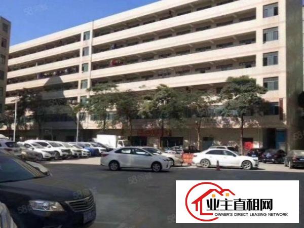  布吉上李朗使用率80一楼500平楼上200平分租仓