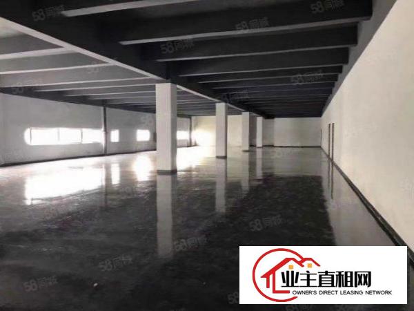  布吉上李朗使用率80一楼500平楼上200平分租仓