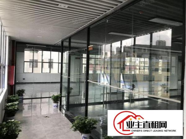  SW临近罗湖红本写字楼出租可注册
