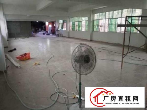  出租龙岗区横岗沙荷路边厂房