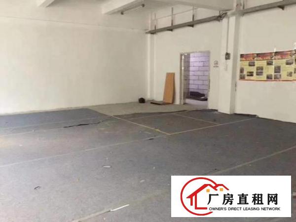 免中介招租各种规格厂房办公室仓库员工宿舍