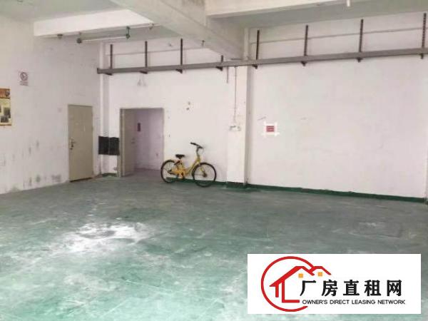  免中介招租各种规格厂房办公室仓库员工宿舍